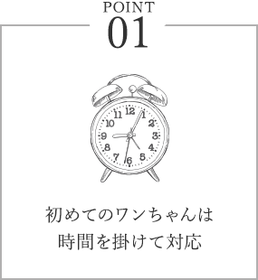 初めてのワンちゃんは時間を掛けて対応